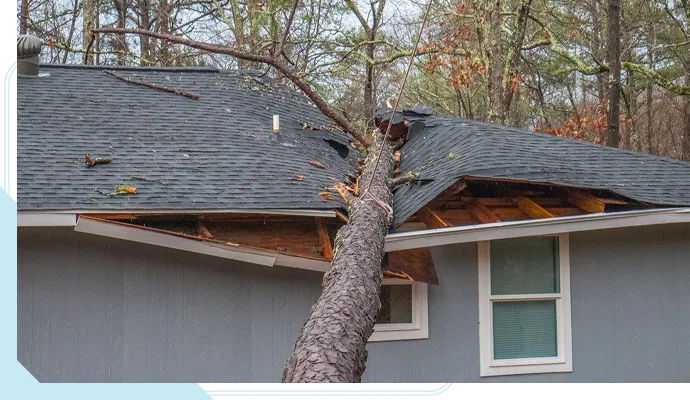 Common storm damage problems