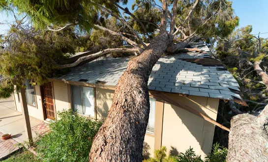 Storm Damage Restoration in Houston